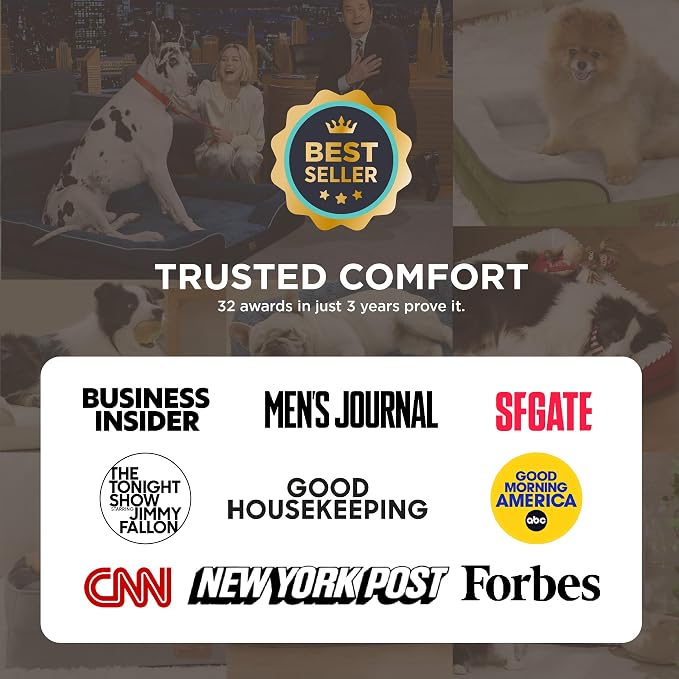 Bedsure L Plus Orthopedic Dog Bed - Image 2