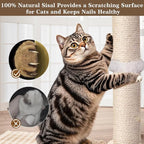 Cat Scratching Post, Interactive Furniture Toys - Image 7