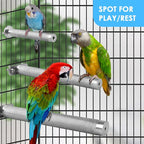 KATUMO Conure Perch - Image 4