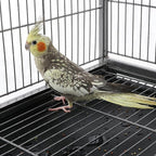 Topeakmart Wrought Iron Large Flight Parrot Bird Cage - Image 5