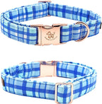 Elegant little tail Dog Collar - Image 4