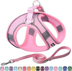 AIITLE Comfortable Dog Harness and Leash Set by AIITLE-FORPETSBETTERLIFE