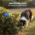 Race&Herd Original Dog Scent Training Kit, Scent Work Training Kit - Image 5