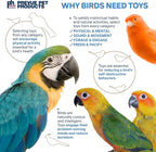 Prevue Pet Products Wholesome Naturals 4 Piece Bird Toy Bundle - Image 8