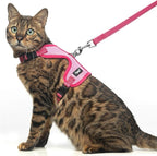 PUPTECK Cat Harness and Leash Set Escape Proof, Reflective Adjustable Soft Mesh by PUPTECK