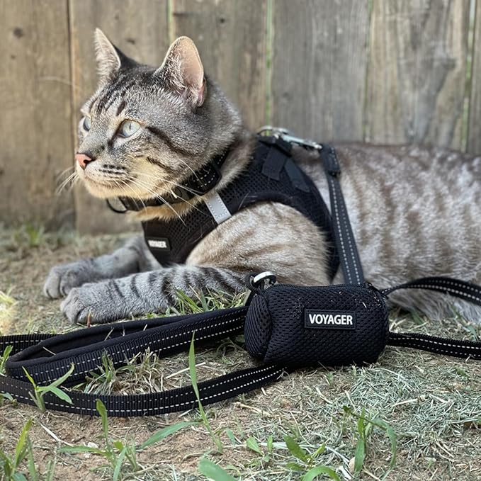 Best Pet Supplies - Image 9