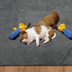 Wahsalbe Puppy Pads 2 Pack, 41x41 Washable Pee Pads Whelping Pads, Absorb Dog - Image 7