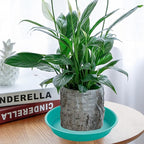 2 Pack of 14 inch Plant Saucers Bird Bath Bow Round, Plastic Plant Saucer Tray - Image 7