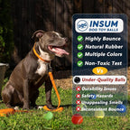 Tennis Balls for Dogs - Image 5