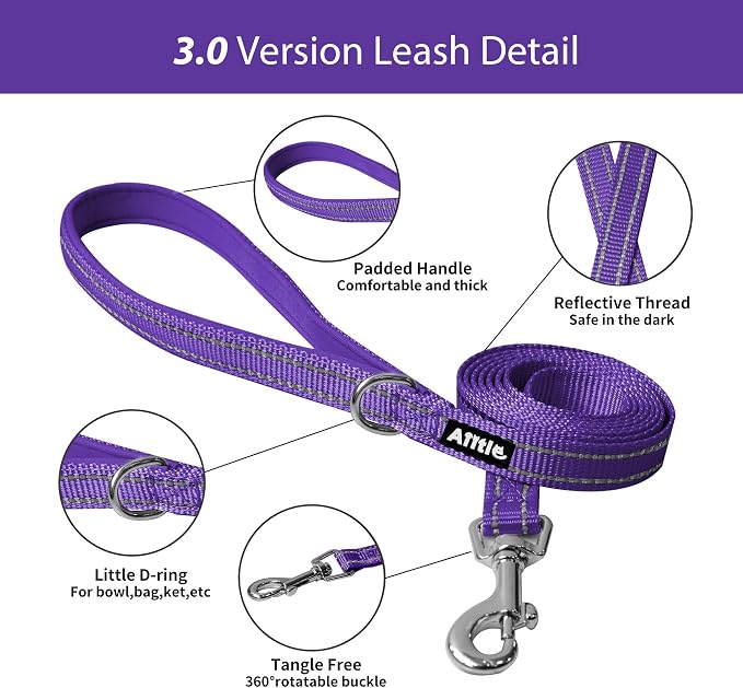 AIITLE No Pull Dog Harness and Leash Set, Step in Adjustable Dog Harness - Image 6