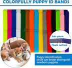 Whelping Kit for Puppies Birth - Image 6
