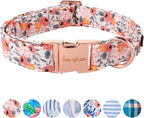 Unique style paws Dog Collar Metal Buckle Pink Rose Puppy Collar Flower Gift by Uniquestylepaws