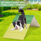 Dogs Agility A-Frame 74.8 x 18.9 Inch Dog Agility Equipment A-Frame Agility - Image 7