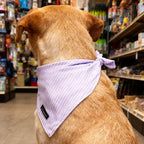 ARING PET Summer Dog Bandana-Cute Lavender Dog Bandanas, Comfortable Pet Scarf - Image 4
