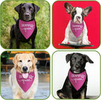 Drama Queen Printed Dog Bandana Funny Dogs Mom Birthday Gifts Pink Dog Bandana - Image 4