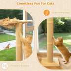 54.3" Cat Window Perch with 3 Adjustable Roman Column Sisal Scratching Posts - Image 7