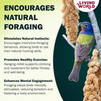 Living World – Millet Spray for Birds, 7 Oz – Premium Treat for Budgies - Image 6
