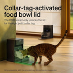 PETLIBRO RFID Cat Feeders for 2 Cats, Collar Sensor for Personalized Meals - Image 2