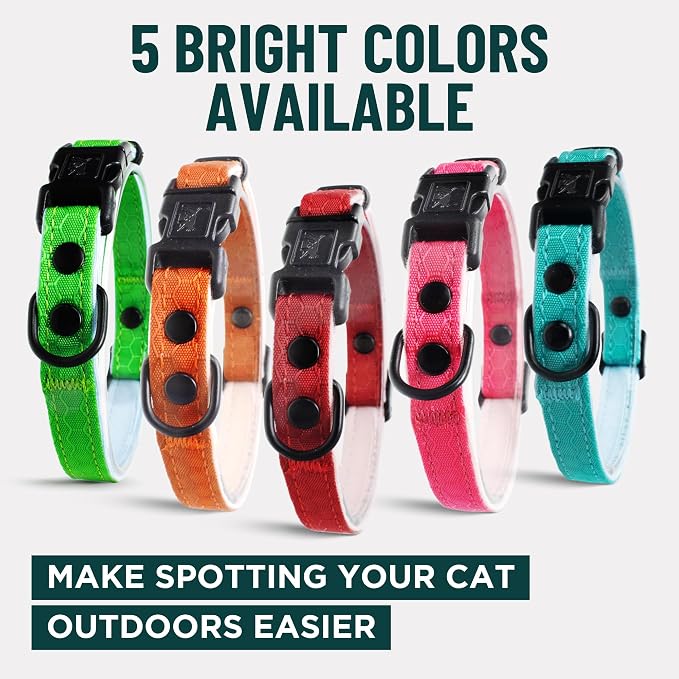 OutdoorBengal Black Breakaway Kitten Collar - Image 7