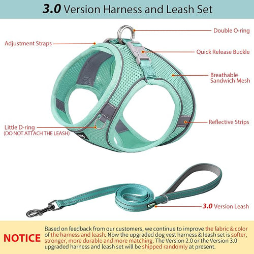 AIITLE Dog Harness, No-Pull Cat Harness - Image 2