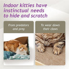 Hideaway Cat Scratcher Box for Indoor Cats - Image 4