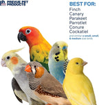 Prevue Pet Products Wholesome Naturals 4 Piece Bird Toy Bundle - Image 5