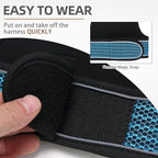 PUPTECK Soft Mesh Cat Vest Harness and Leash Set Puppy Padded Pet Harnesses - Image 4