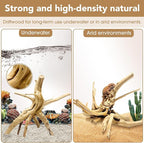 Jorewood Natural Small Spiderwood Driftwood - Image 3