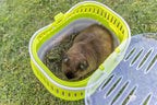 Trixie Pico Transport Crate - Image 3