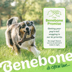 Large 3-Pack, Benebone Wishbone Durable Dog Chew Toy - Image 6