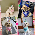 Dog Birthday Bandana Set, Light Pink Birthday Girl Decorations, HBD Party - Image 6