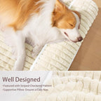 Orthopedic Jumbo Dog Bed Large Sized Dog - Image 5