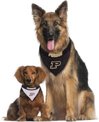 Pets First Collegiate Pet Accessories, Reversible Bandana, Purdue Boilermakers - Image 4