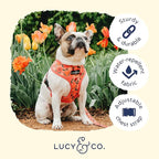Lucy & Co. Reversible Dog Harness Walking Halter - Image 4