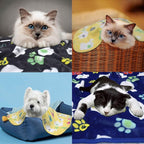 Rezutan Dog Blanket for Medium Dogs 1 Pack 3 Premium Soft Cat Puppy Blankets - Image 4