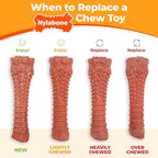 Nylabone Original Bone Power Chew Toy - Image 6