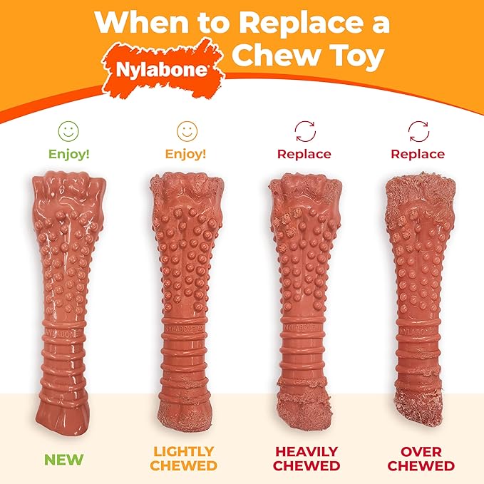 Nylabone Original Bone Power Chew Toy - Image 8