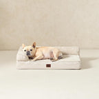 EHEYCIGA Memory Foam Dog Bed Large Size Dogs, Orthopedic Dog Bed Large - Image 9