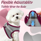 AIITLE Comfortable Dog Harness and Leash Set - Image 6