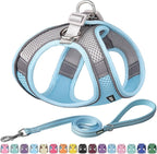 AIITLE Step in Dog Harness and Leash Set by AIITLE-FORPETSBETTERLIFE