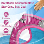 AIITLE Escape Proof Dog Harness - Image 6