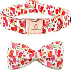 Lionheart glory Dog Collar, Dog Collar by LionheartGlory