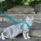 Cat Harness and Leash Escape Proof Extra Large Kitten Harness Maine Coon Cat - Image 8