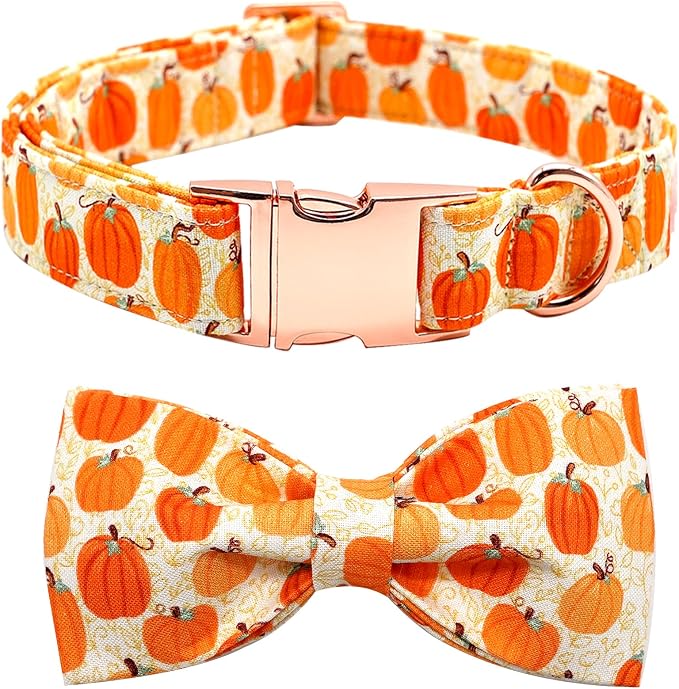 Dog Collar - Halloween Pumpkin Bowtie Dog Collar Gift Soft Bow Collar Pet by BoboRainbow