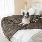 gogobunny Waterproof Dog Blanket - Image 7