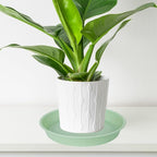6 Pack of 10 inch Plant Saucer Blue, Heavy Duty Plastic Plant Saucer 10 inch - Image 5