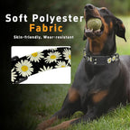 Dog Collar, Daisy Boys Girls Puppy Collar - Image 4
