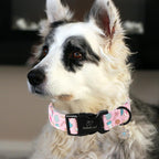 Christmas Dog Collar for Medium Dogs - Image 3