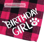 STMK Cat Birthday Decorations, Cat Birthday Hat - Image 5