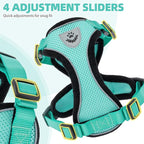 PUPTECK Cat Harness and Leash Set Escape Proof Reflective Cat Walking Harness - Image 4